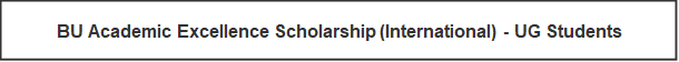 BU Academic Excellence Scholarship (International) - UG Students